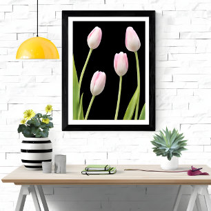 Four Pink Tulips on Black Photo Print