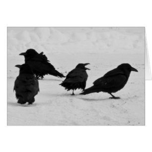Four Ravens