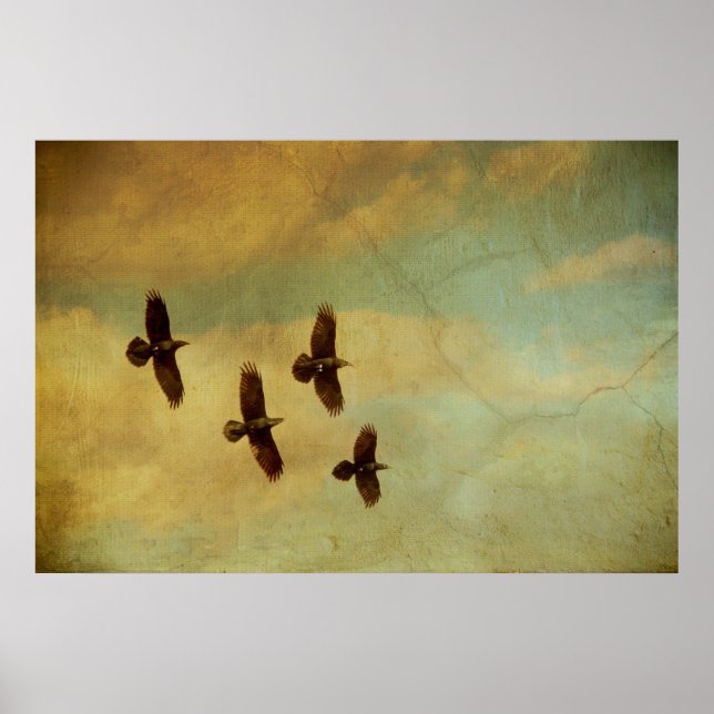 Four Ravens Flying Poster (Front)