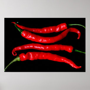 Four Red Chilies wapcn Poster
