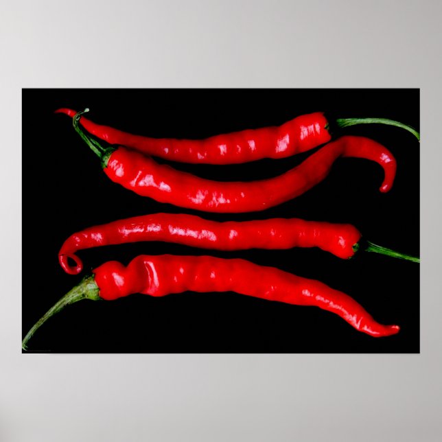 Four Red Chilies wapcn Poster (Front)