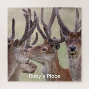 Four Red Stags Wildlife Photo Personalised Jigsaw Puzzle