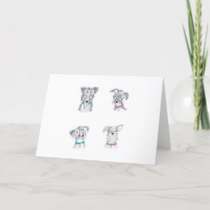 Four scruffy dogs card