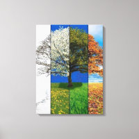 Four Seasons