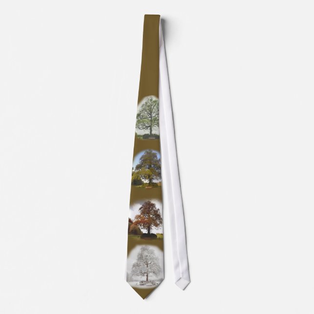 Four Seasons Tie (Front)