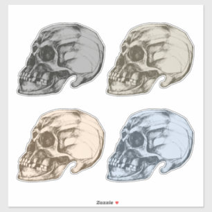 Four Skulls Vinyl