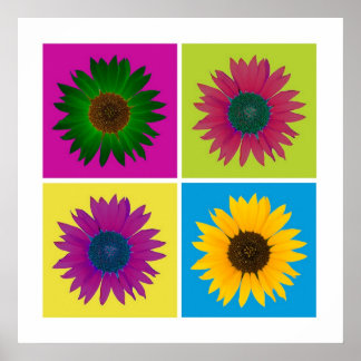 Four Sunflowers in Colour Poster