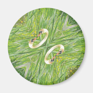 Four swans fridge magnet