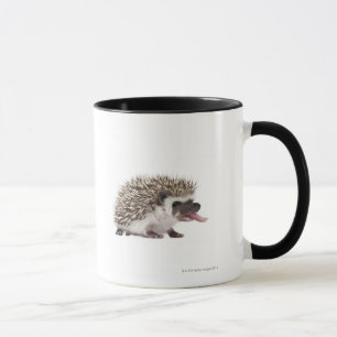 Four-toed Hedgehog - Atelerix albiventris Mug