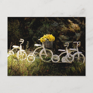 Four White Trikes Postcard