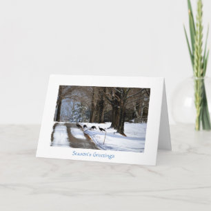 Four Wild Turkeys - Holiday Card