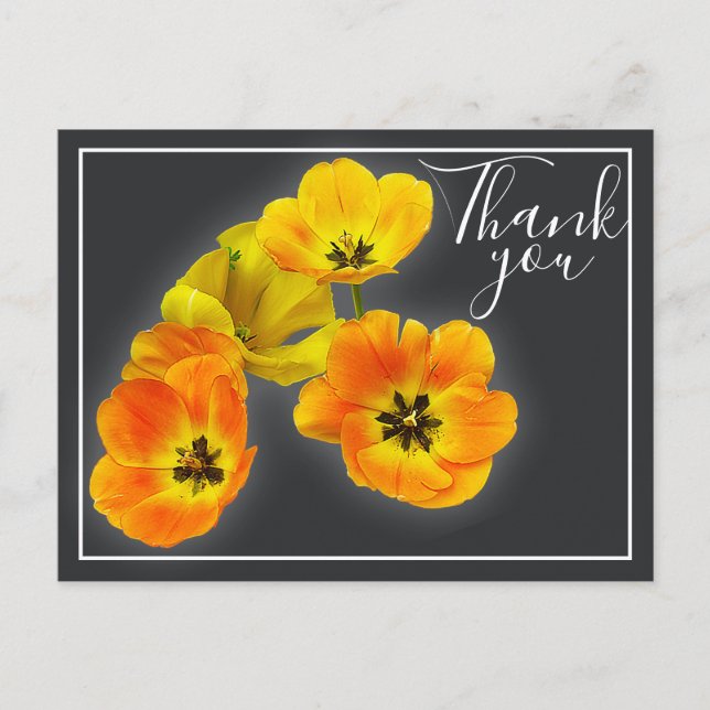 Four Yellow Orange Tulips Grey Backdrop Thank You Postcard (Front)