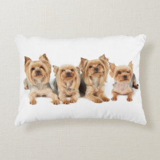 Four yorkies decorative cushion
