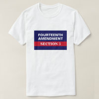 Fourteenth Amendment Section 3 Constitution