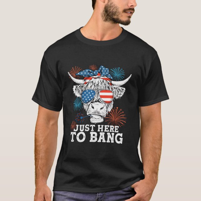 Fourth Of July 4Th Of July I'M Just Here To Bang C T-Shirt (Front)