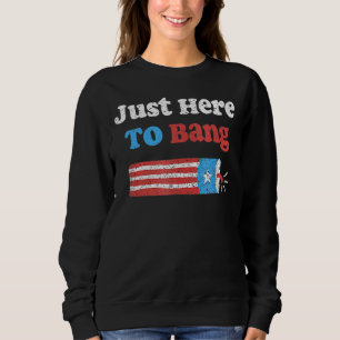 Fourth Of July 4th Of July I'm Just Here To Bang U Sweatshirt