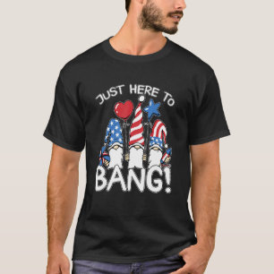 Fourth Of July Gnom 4th Of July I'm Just Here To B T-Shirt