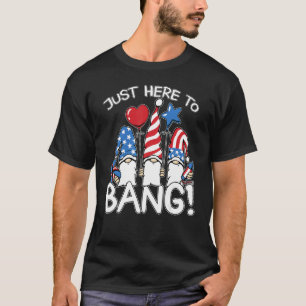 Fourth Of July Gnom 4th Of July I'm Just Here To B T-Shirt