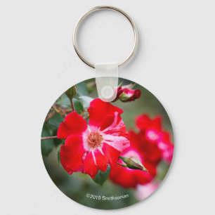 Fourth of July Shrub Key Ring