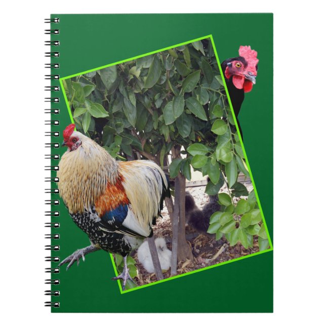 **"Fowl Play: Chicken Hide-and-Seek in 3D"** Notebook (Front)