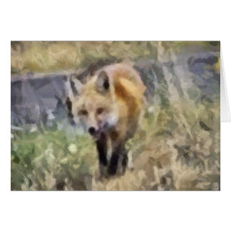 Fox