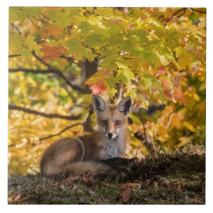 Fox And Foliage Tile