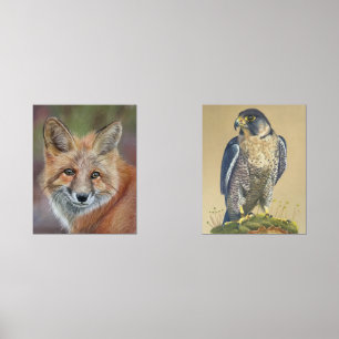 Fox and peregrine falcon prints