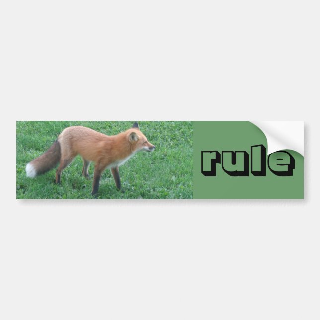 Fox bumper sticker (Front)