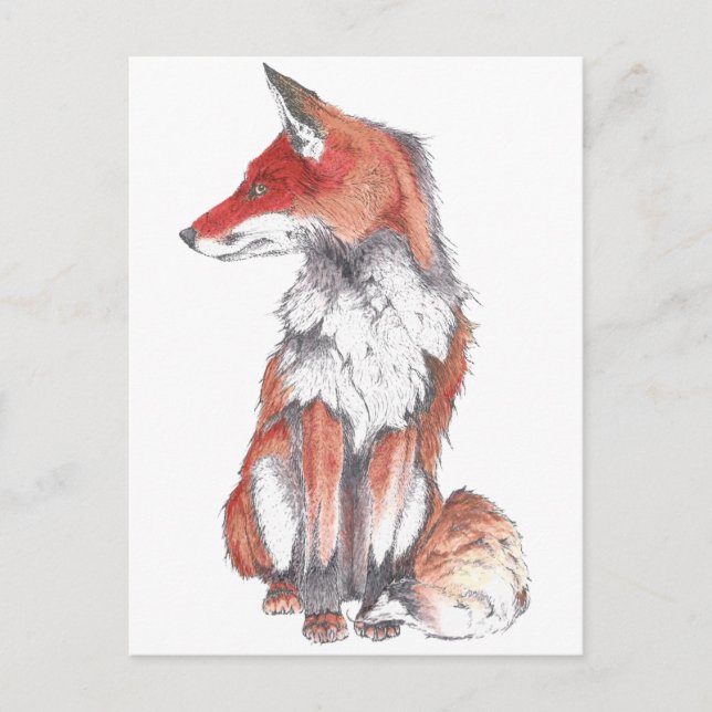 Fox by Inkspot Postcard (Front)