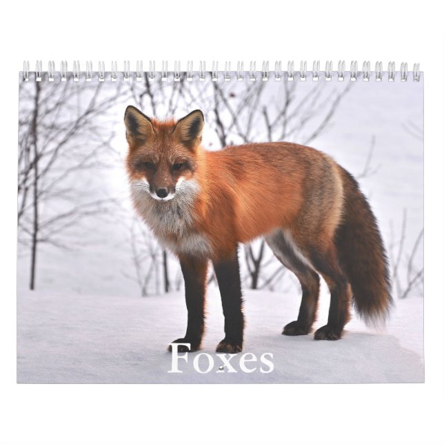 Fox Calendar (Cover)
