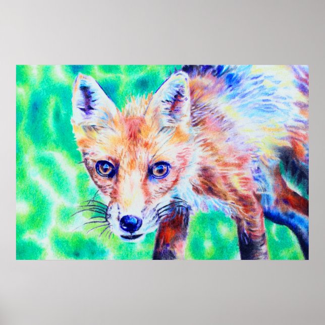 Fox coloured pencil drawing poster (Front)