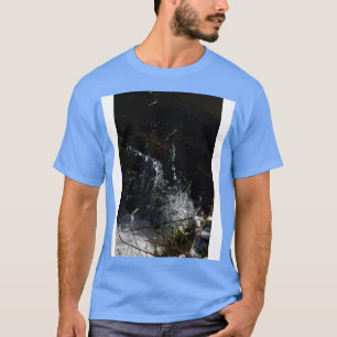 fox creek waterfall 2 T-Shirt