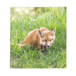 Fox Cub Notepad
