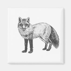 Fox drawing magnet