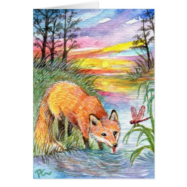 Fox Drinking by Riverside (Front)
