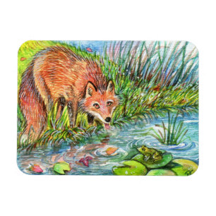 Fox Drinking By The Pond Magnet