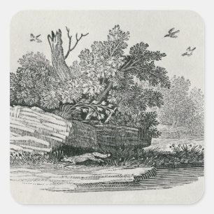 Fox escaping,'The General History of Square Sticker