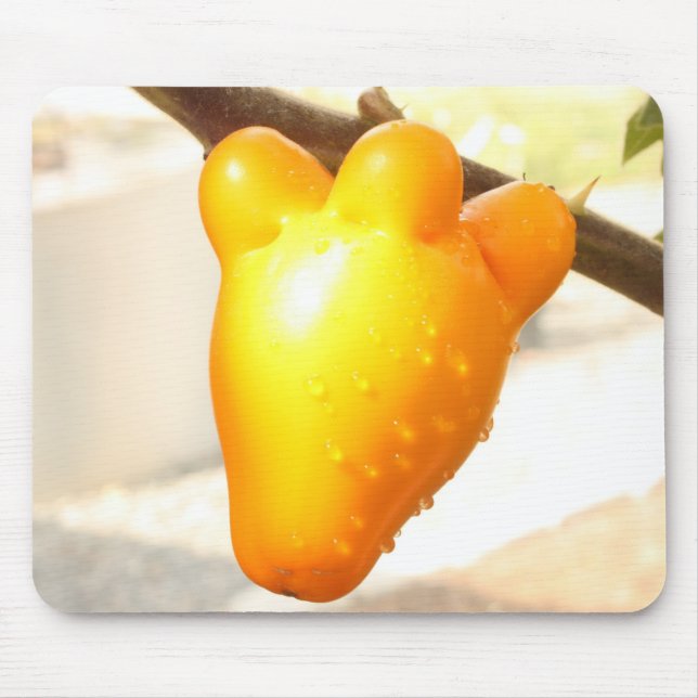 Fox Face Fruit Mousepad (Front)