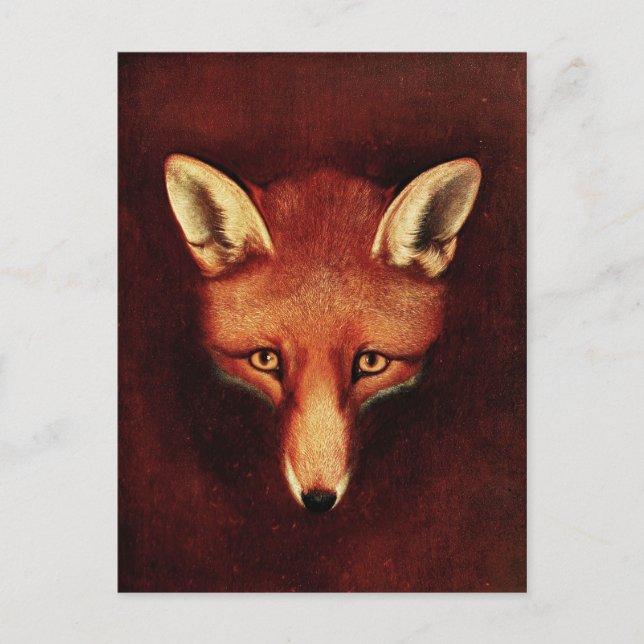 Fox Head Vintage Print Antique Animal Illustration Postcard (Front)
