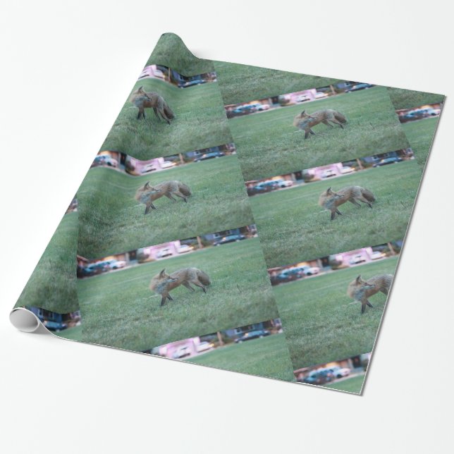 Fox in green grass at Thousand Oaks Park in San Jo Wrapping Paper (Unrolled)
