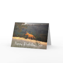 Fox in Moonlight, Happy Birthday Son, humour.