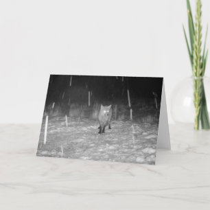 Fox in Snow at Night Greeting Card Add Text