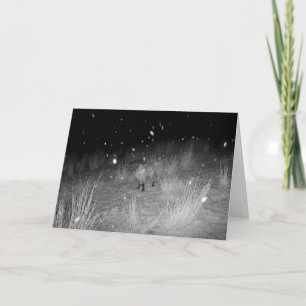 Fox in Snow at Night Greeting Card Add Text