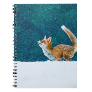Fox in snowfall. Red fox, Vulpes vulpes, jumping i Notebook