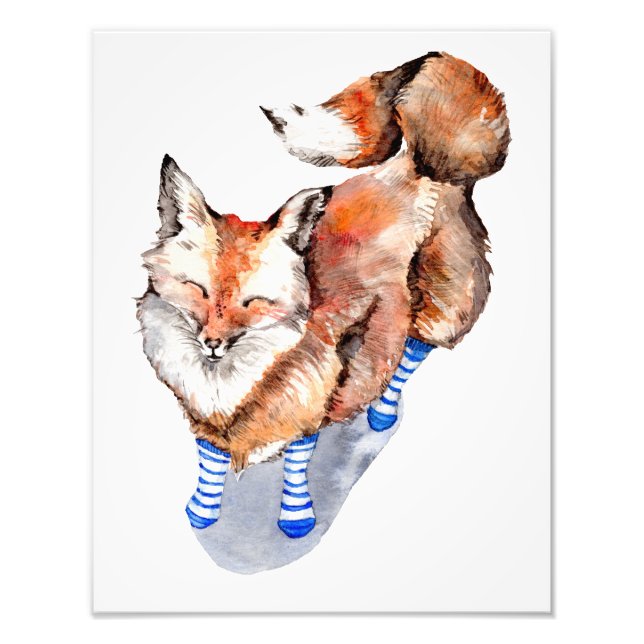 Fox in Socks Photo Print (Front)