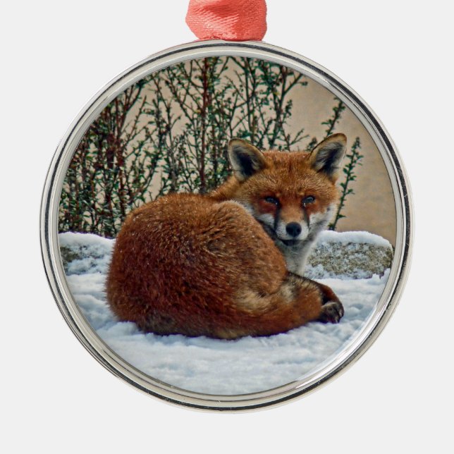 Fox in the snow Ornament (Front)