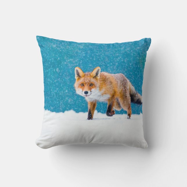 Fox in winter. Red fox, Vulpes vulpes, sniffs abou Cushion (Front)