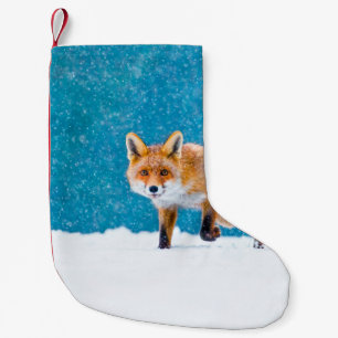 Fox in winter. Red fox, Vulpes vulpes, sniffs abou Small Christmas Stocking