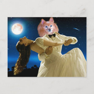 Fox Is A Dancing Fool Postcard
