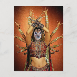 Fox Is A Hindi Dancer Postcard